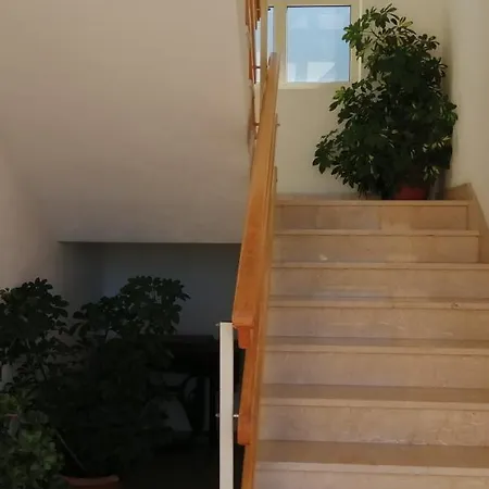 Ara *